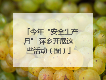 今年“安全生产月” 萍乡开展这些活动（图）