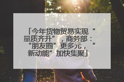 今年货物贸易实现“量质齐升”，商务部：“朋友圈”更多元，“新动能”加快集聚