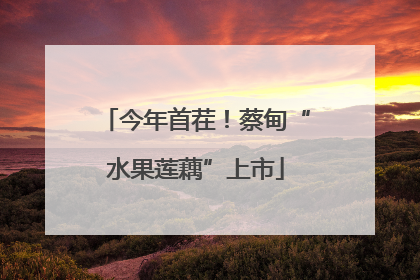 今年首茬！蔡甸“水果莲藕”上市