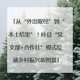 从“外出取经”到“本土结果”！叶县“党支部+合作社”模式绘就乡村振兴新图景