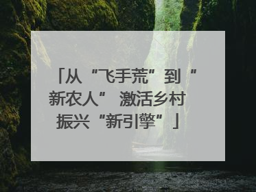从“飞手荒”到“新农人” 激活乡村振兴“新引擎”