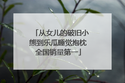 从女儿的破旧小熊到乐瓜睡觉抱枕全国销量第一