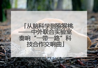 从脑科学到猕猴桃——中外联合实验室奏响“一带一路”科技合作交响曲