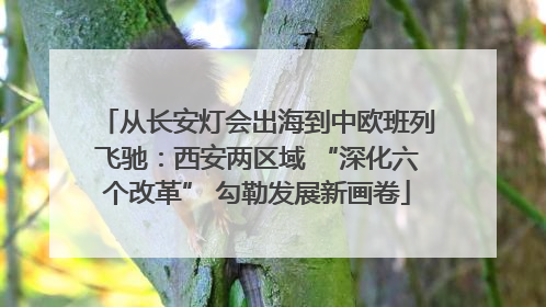 从长安灯会出海到中欧班列飞驰：西安两区域 “深化六个改革” 勾勒发展新画卷