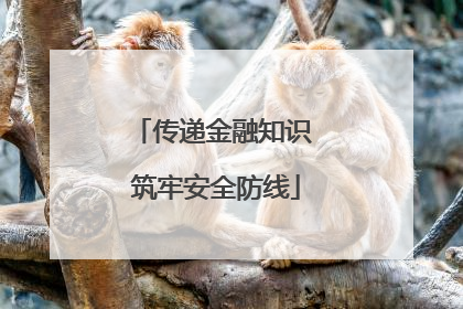 传递金融知识 筑牢安全防线