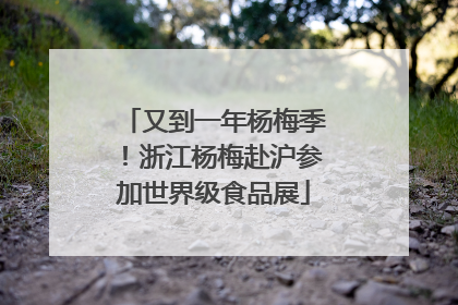 又到一年杨梅季！浙江杨梅赴沪参加世界级食品展