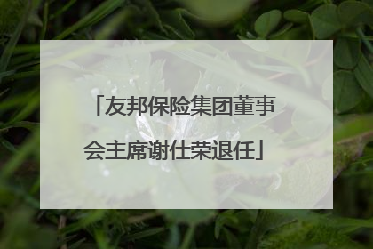 友邦保险集团董事会主席谢仕荣退任