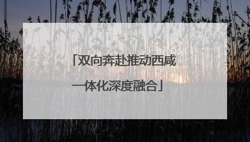 双向奔赴推动西咸一体化深度融合