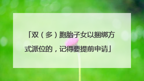 双（多）胞胎子女以捆绑方式派位的，记得要提前申请