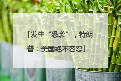 发生“恐袭”，特朗普：美国绝不容忍