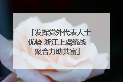 发挥党外代表人士优势 浙江上虞统战聚合力助共富