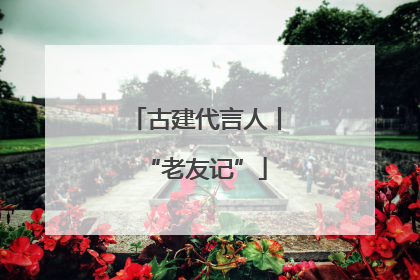 古建代言人丨“老友记”
