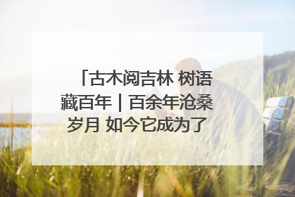 古木阅吉林 树语藏百年｜百余年沧桑岁月 如今它成为了“镇园之宝”