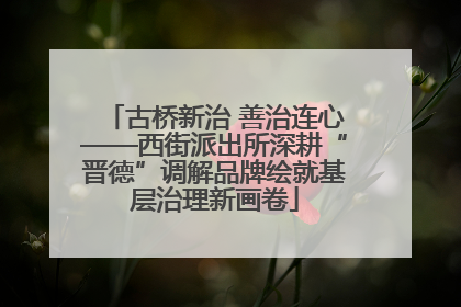 古桥新治 善治连心——西街派出所深耕“晋德”调解品牌绘就基层治理新画卷