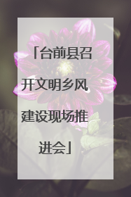 台前县召开文明乡风建设现场推进会