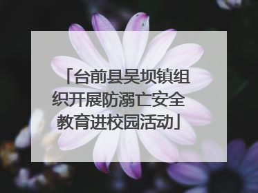 台前县吴坝镇组织开展防溺亡安全教育进校园活动