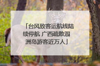 台风致客运航线陆续停航 广西疏散涠洲岛游客近万人