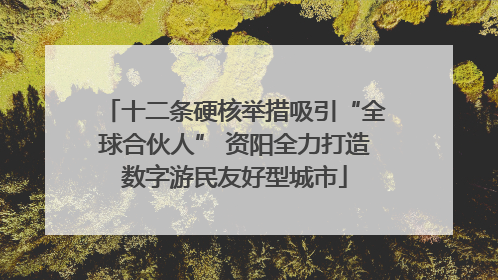 十二条硬核举措吸引“全球合伙人” 资阳全力打造数字游民友好型城市