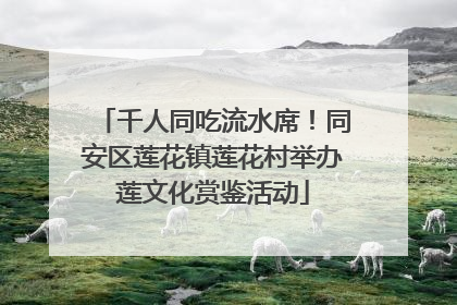 千人同吃流水席！同安区莲花镇莲花村举办莲文化赏鉴活动