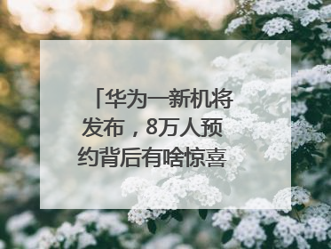 华为一新机将发布，8万人预约背后有啥惊喜？｜热财经
