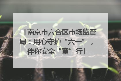 南京市六合区市场监管局：用心守护“六一”，伴你安全“童”行