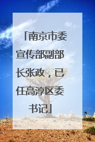 南京市委宣传部副部长张政，已任高淳区委书记