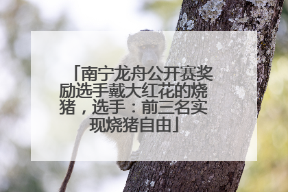 南宁龙舟公开赛奖励选手戴大红花的烧猪，选手：前三名实现烧猪自由