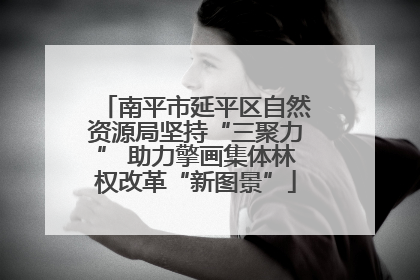 南平市延平区自然资源局坚持“三聚力” 助力擎画集体林权改革“新图景”