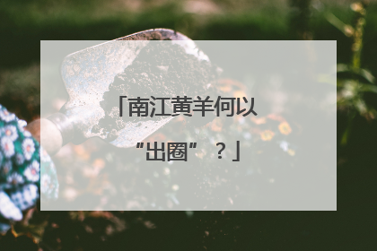南江黄羊何以“出圈”？