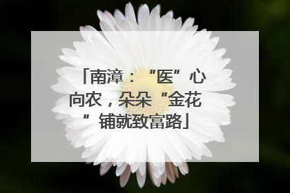 南漳：“医”心向农，朵朵“金花”铺就致富路