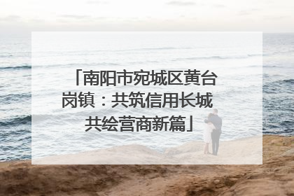 南阳市宛城区黄台岗镇：共筑信用长城 共绘营商新篇