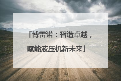 博雷诺：智造卓越，赋能液压机新未来