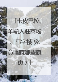 卡皮巴拉、羊驼入驻商场、写字楼 究竟暗藏哪些隐患？