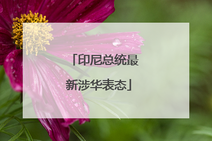 印尼总统最新涉华表态