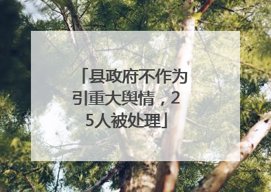 县政府不作为引重大舆情，25人被处理
