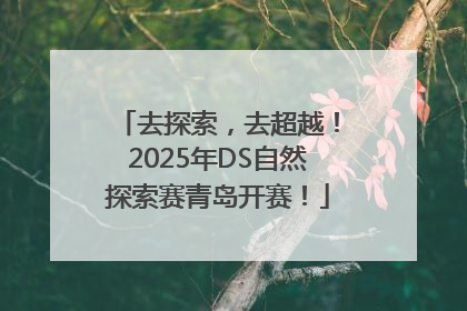 去探索，去超越！2025年DS自然探索赛青岛开赛！
