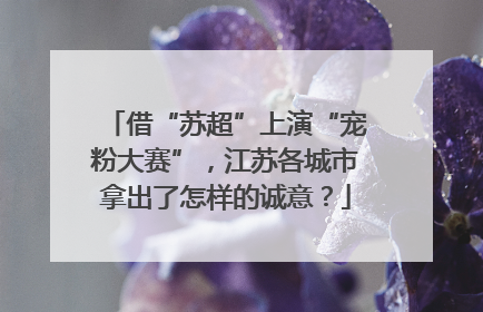 借“苏超”上演“宠粉大赛”，江苏各城市拿出了怎样的诚意？