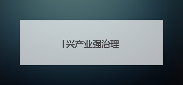 兴产业强治理 抓项目促振兴