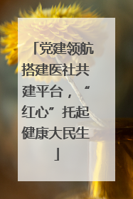 党建领航搭建医社共建平台，“红心”托起健康大民生