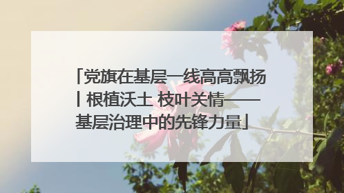 党旗在基层一线高高飘扬丨根植沃土 枝叶关情——基层治理中的先锋力量