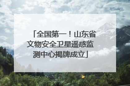 全国第一！山东省文物安全卫星遥感监测中心揭牌成立