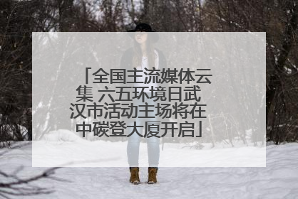 全国主流媒体云集 六五环境日武汉市活动主场将在中碳登大厦开启