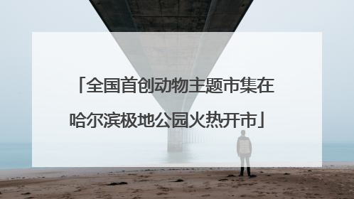 全国首创动物主题市集在哈尔滨极地公园火热开市