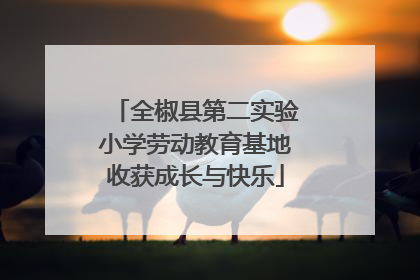 全椒县第二实验小学劳动教育基地收获成长与快乐