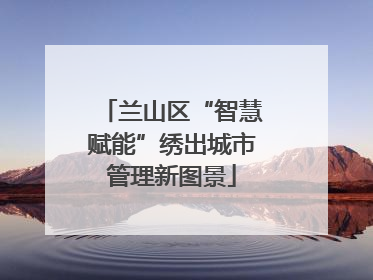 兰山区“智慧赋能”绣出城市管理新图景