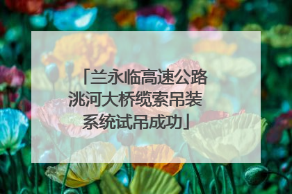 兰永临高速公路洮河大桥缆索吊装系统试吊成功