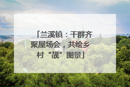 兰溪镇：干群齐聚屋场会，共绘乡村“靓”图景