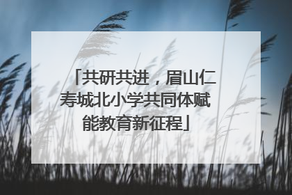 共研共进，眉山仁寿城北小学共同体赋能教育新征程