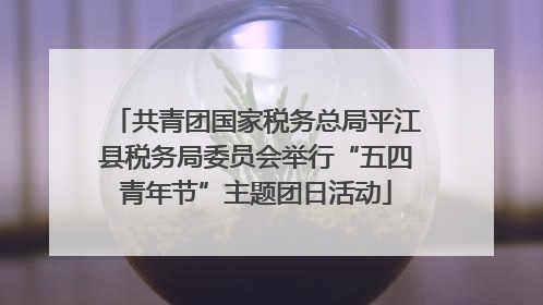 共青团国家税务总局平江县税务局委员会举行“五四青年节”主题团日活动
