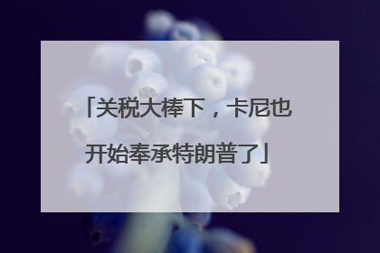 关税大棒下，卡尼也开始奉承特朗普了
